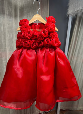 Red rose